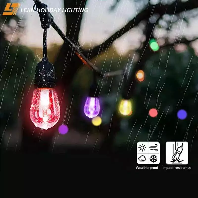 LED Festoon Light