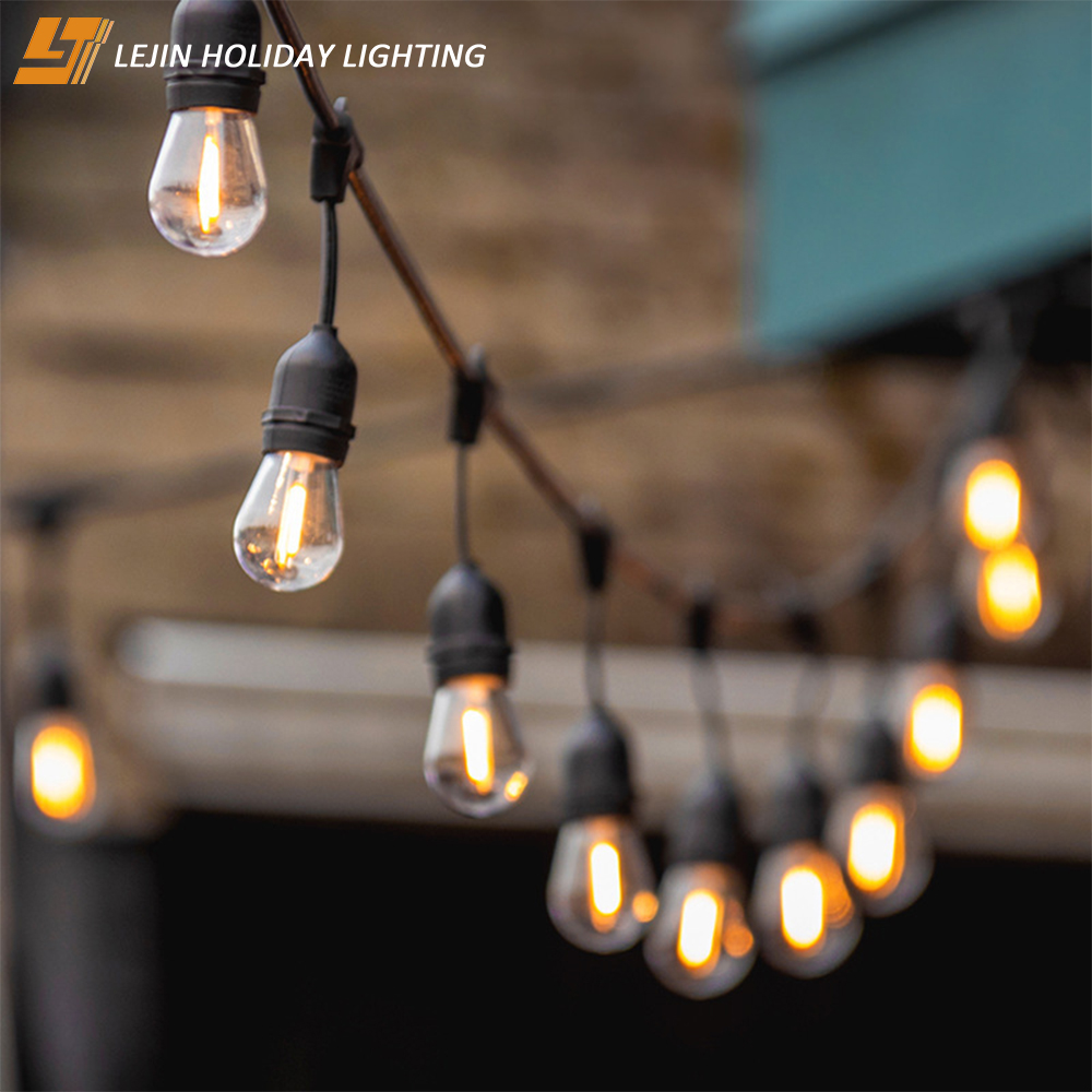 Festoon Light