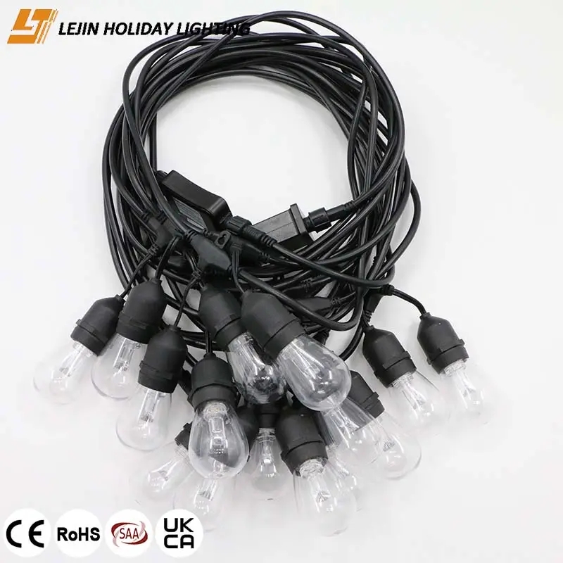 smart festoon lights