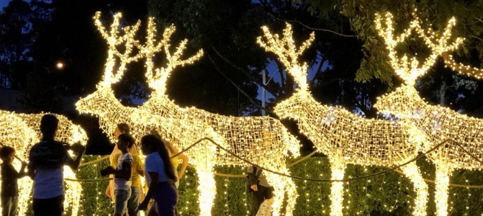 Motif Light