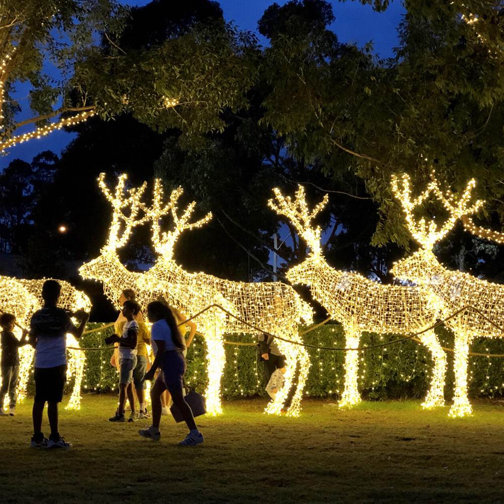 Motif Light