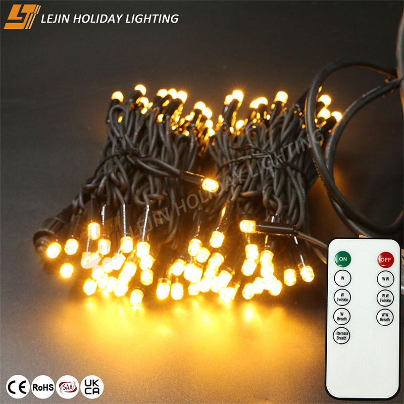 Double Color LED String Light