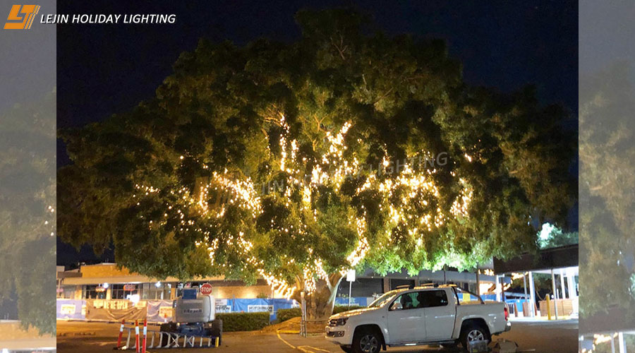 Decor String Lights for Australia's Streets